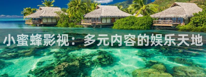 星辰影视玉楼春：小蜜蜂影视：多元内容的娱乐天地