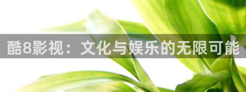 星辰影院高清在线观看