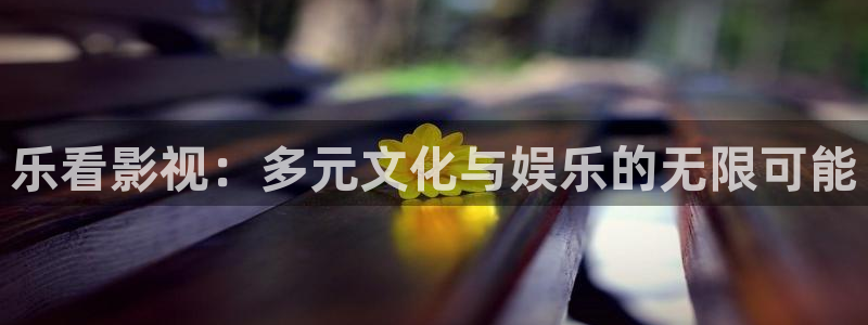 少帅星辰影院在线观看