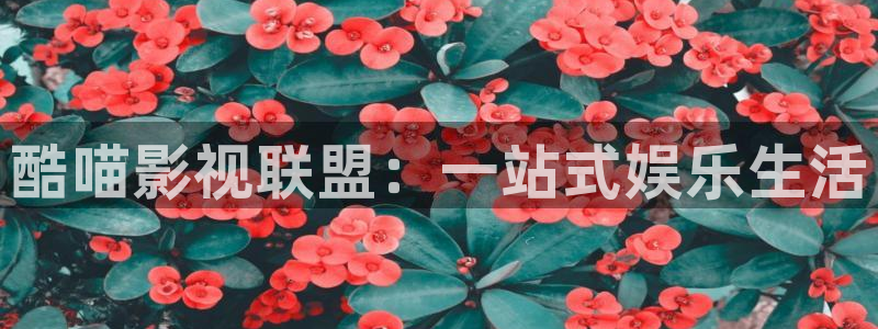 遇见王沥川在线看免费星辰影院