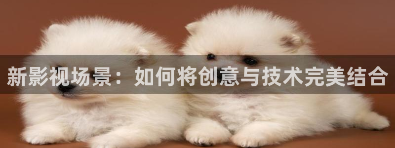 星辰影院繁花