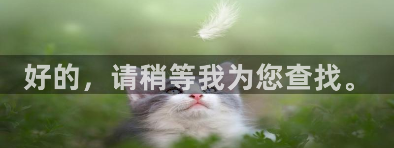 星辰影院2021最新电视剧