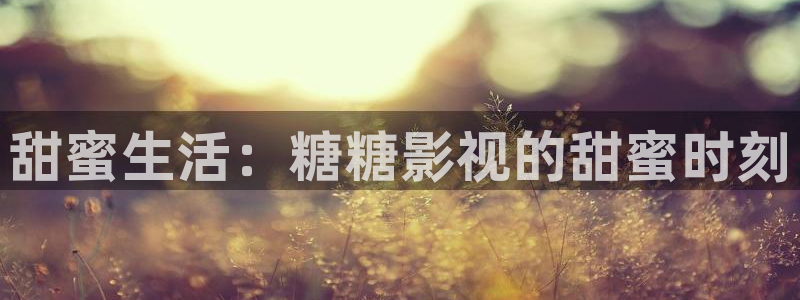 星辰影院玫瑰的故事电视剧免费观看全集高清