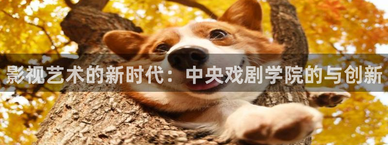 极限挑战第三季星辰影院：影视艺术的新时代：中央戏剧学院的与创新