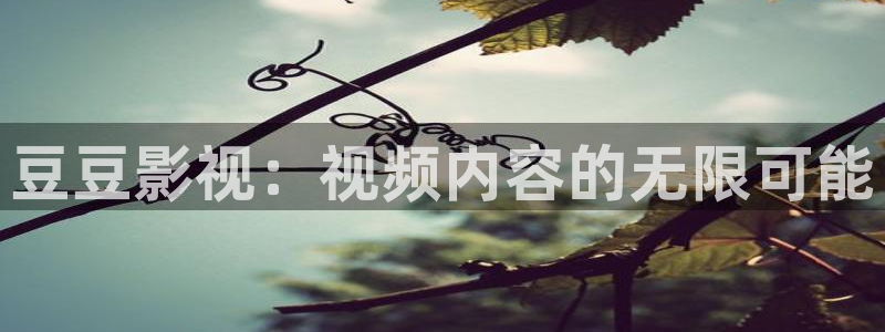 倚天屠龙记星辰影院：豆豆影视：视频内容的无限可能