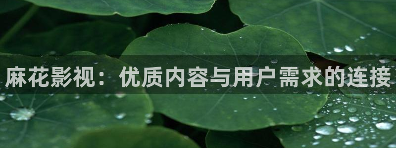 电影在线观看星辰