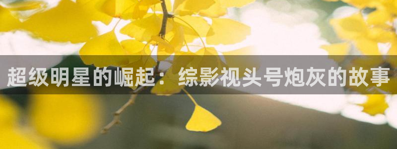 星辰dvd高清影院