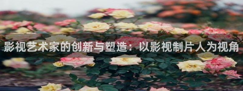 玉春楼电视剧在线观看星辰影院：影视艺术家的创新与塑造：以影视制片人为视角