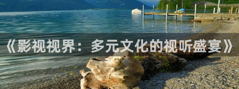 星辰影视大全免费：《影视视界：多元文化的视听盛宴》