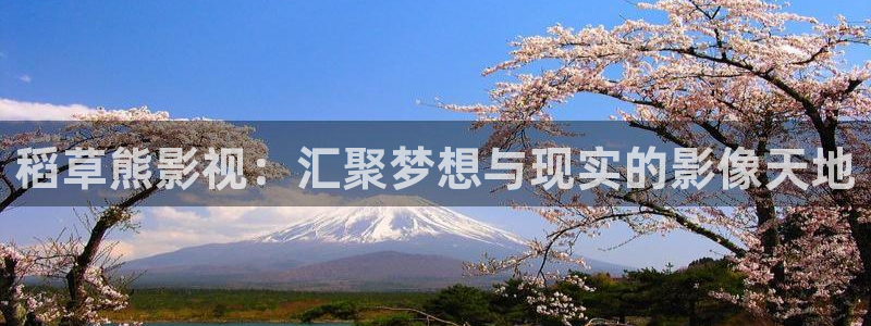 藏海传电视剧在线观看星辰影院：稻草熊影视：汇聚梦想与现实的影像天地