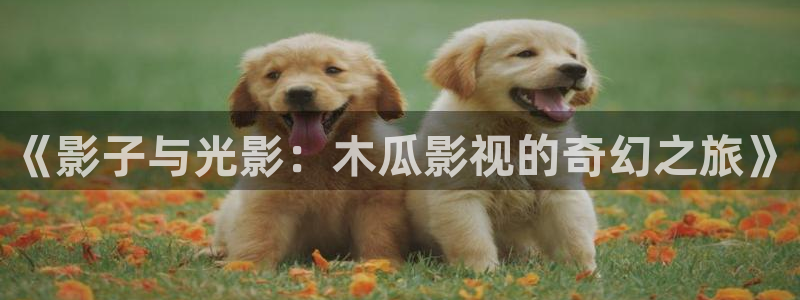 星辰影视在线电影